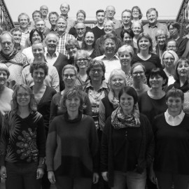 Die Stimmen des Grossprojekts Die Stimmen des Grossprojekts